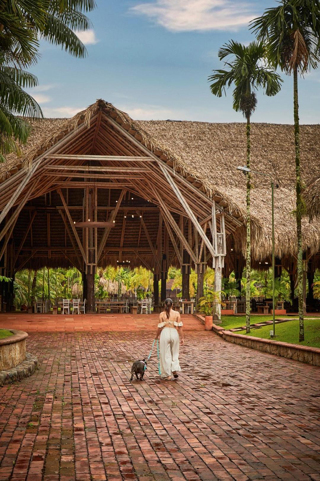 Hotel Reserva De Piedemonte บิยาบิเซนซิโอ ภายนอก รูปภาพ